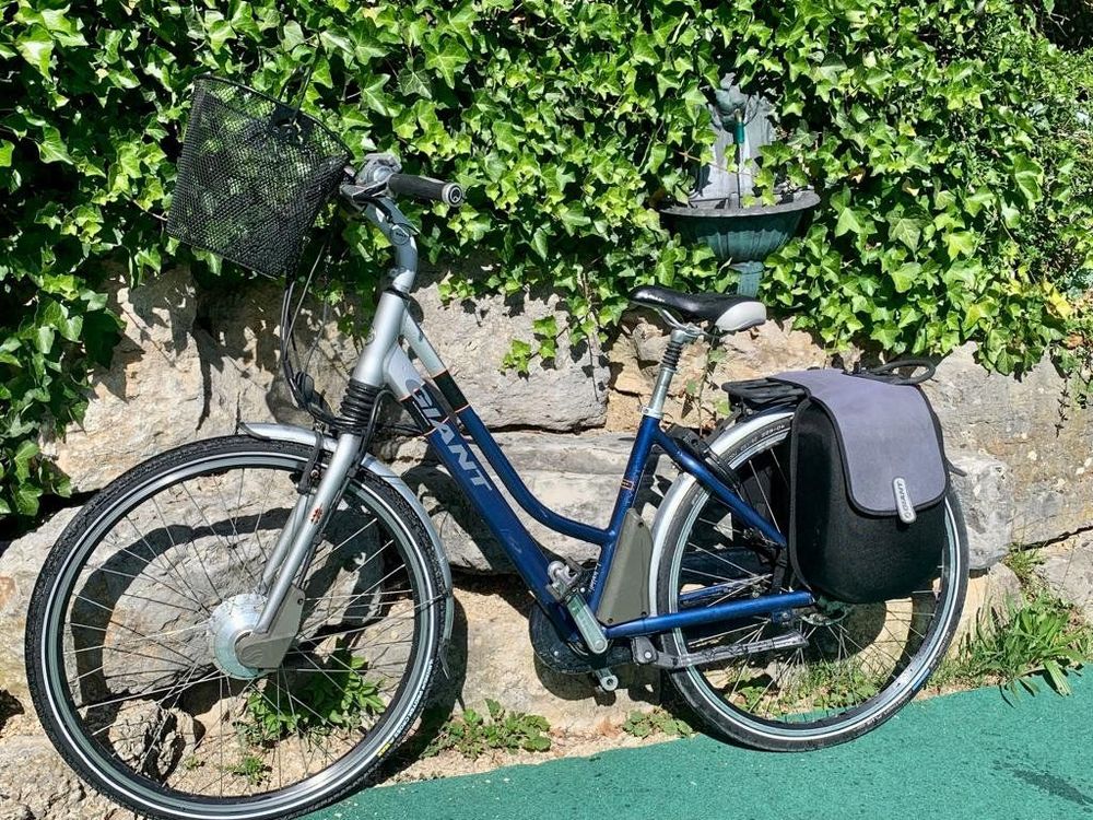 giant twist 2.1 electric bike