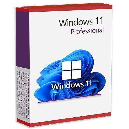 windows-11-pro-product-key-acheter-sur-ricardo