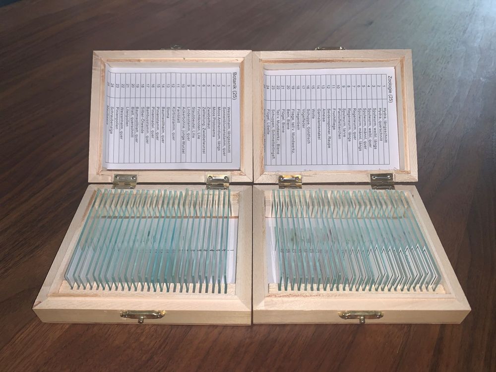 25 Mikroskop-Präparate Botanik - Professionelle Pflanzen-Schnitte