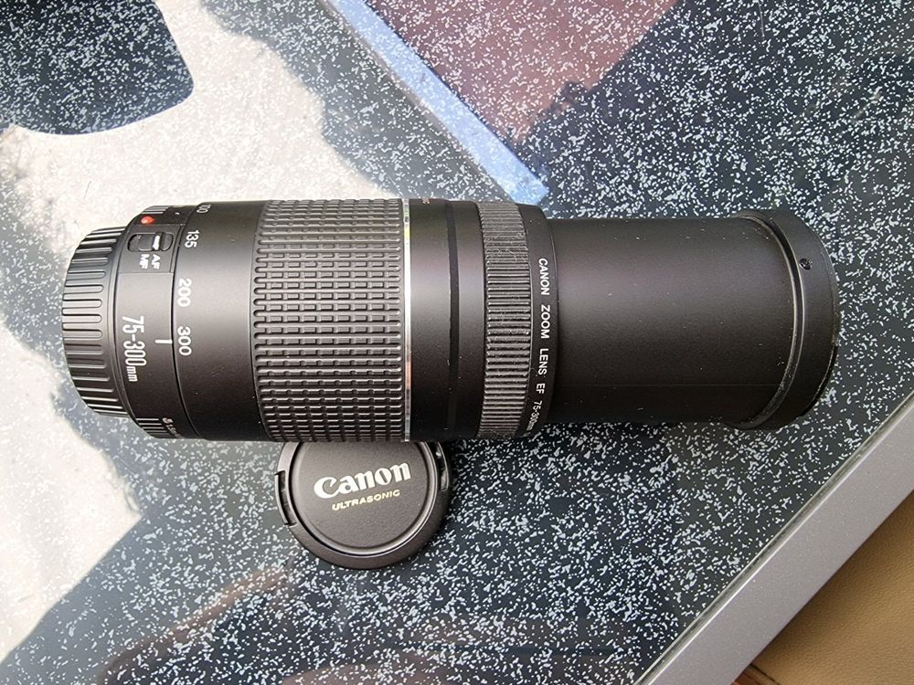 Canon EOS Zoom EF III USM Ultrasonic 75300 mm f 45.6 Kaufen auf Ricardo