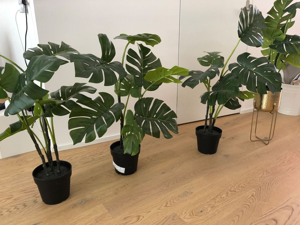 IKEA Artificial Monstera Plants x 4 Acheter sur Ricardo