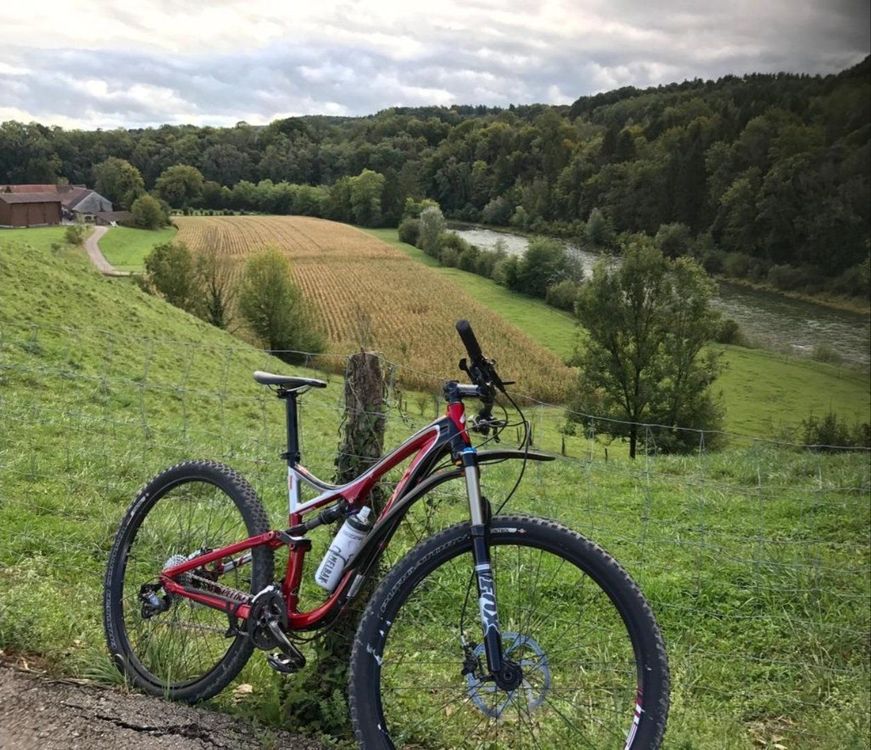 Specialized Stumpjumper FSR Comp 29 