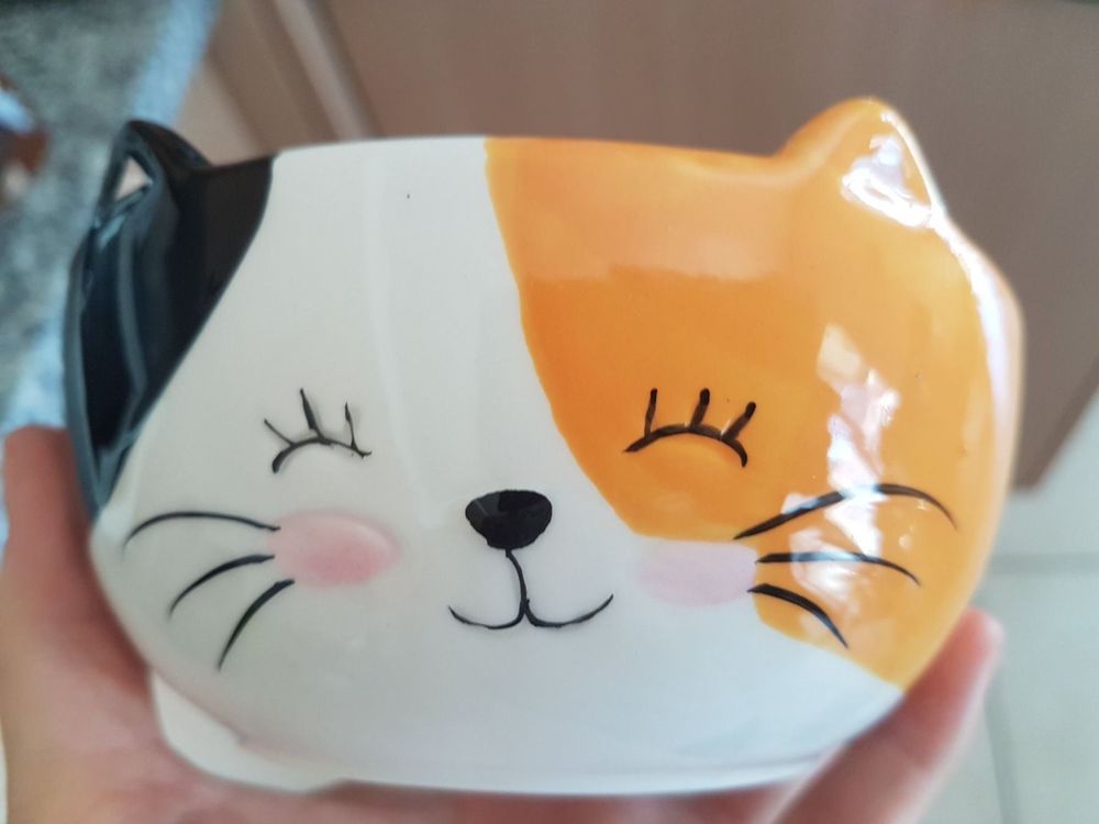 Bol Chat Kaufen Auf Ricardo