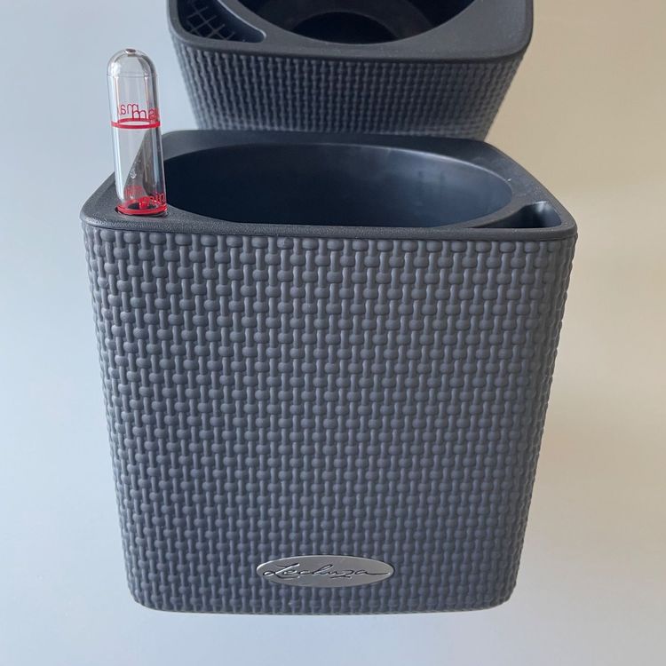 Lechuza Green Wall Home Kit Grau Kaufen auf Ricardo