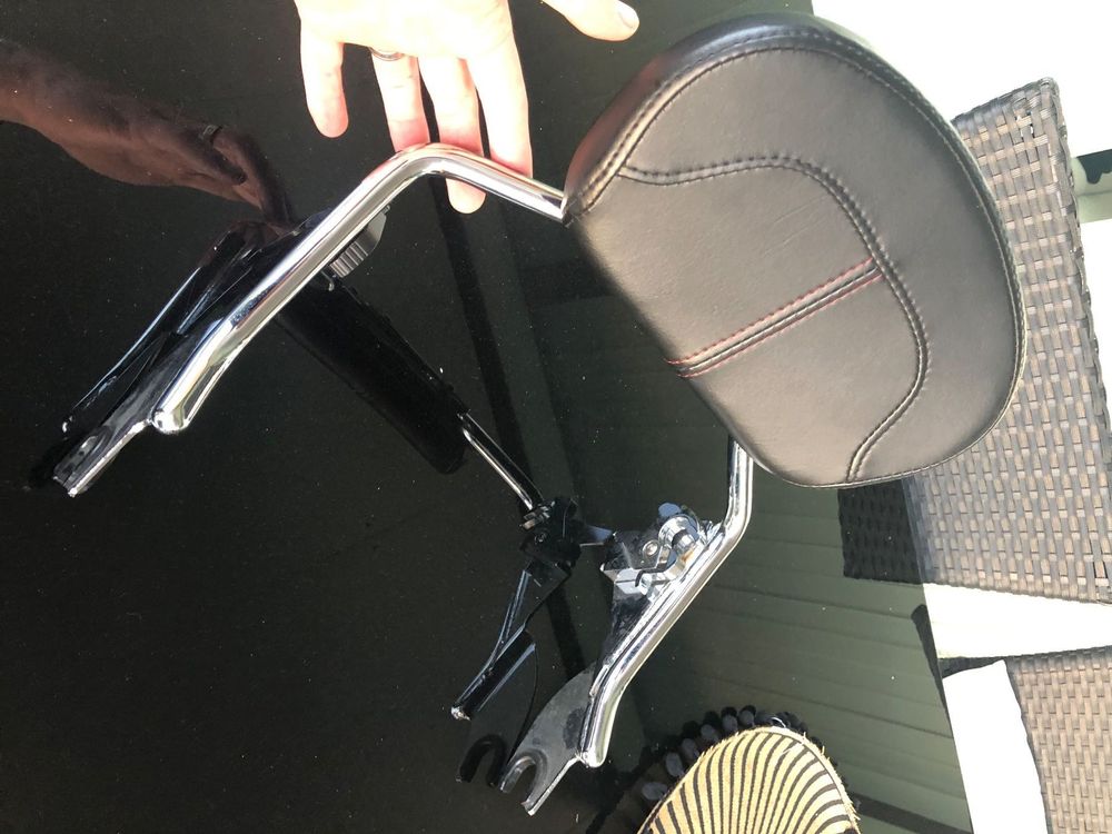 Sissy Bar HD Street Glide Kaufen auf Ricardo