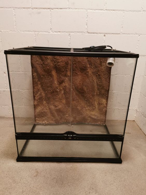 exo terrarium kaufen