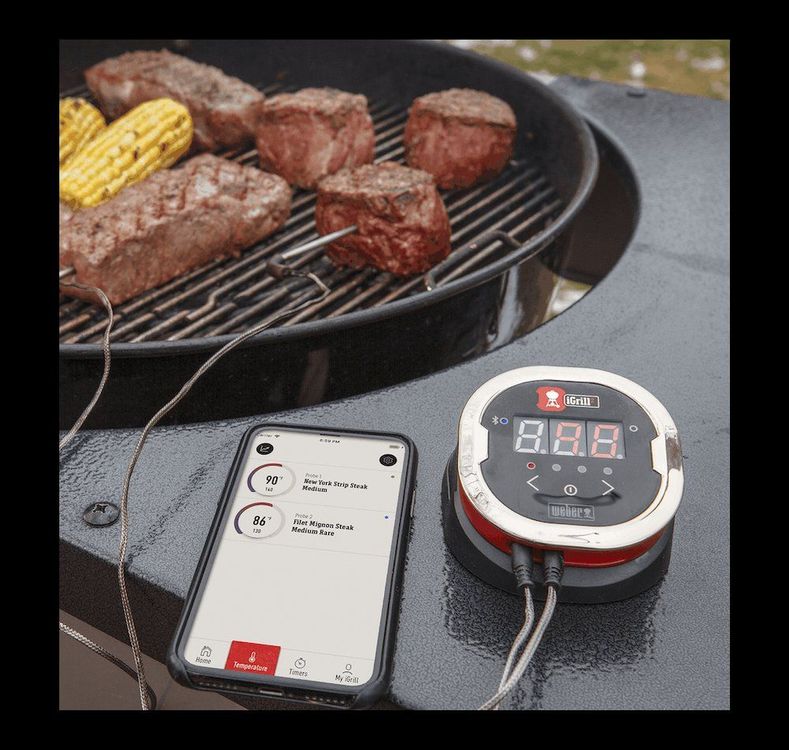 WEBER Grill Thermometer Kaufen auf Ricardo