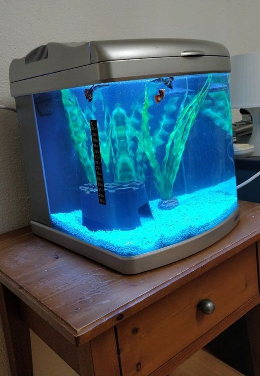 Small Fish Tank Kaufen auf Ricardo