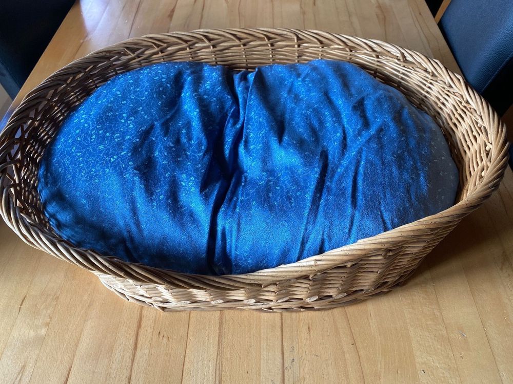 Adena Hundekorb 58x38 Cm Mit Kissen – Robustes Hundebett Aus Kunststoff Für Innen & Außen