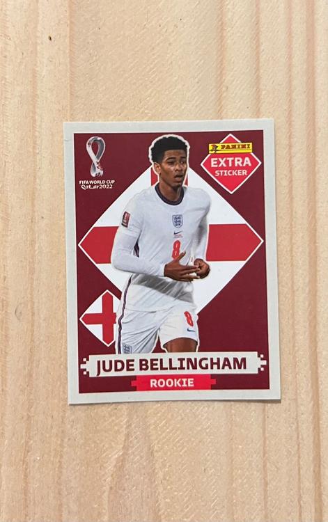 Panini WM 2022, Extra Sticker | Kaufen auf Ricardo