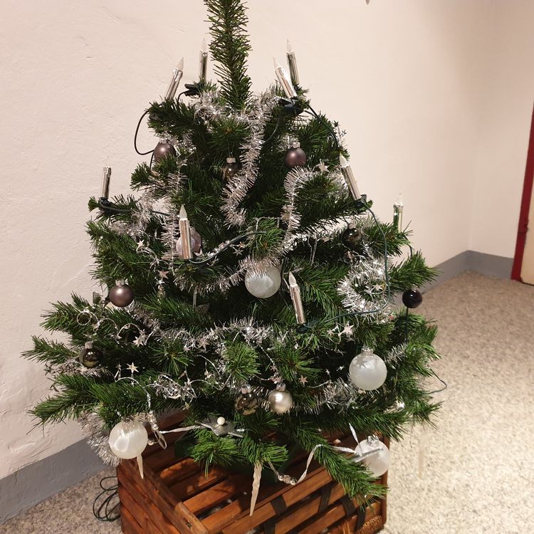 Künstlicher Weihnachtsbaum 100 cm täuschend echt Kaufen auf Ricardo