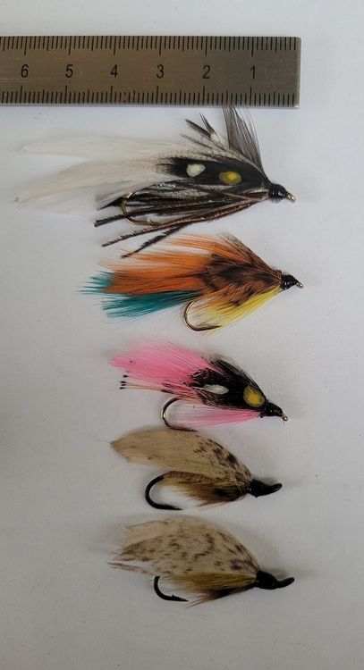 Irideus Streamer Forelle Fliegenfischen Im Fluss Zu Beginn Der Saison Mit Dem Streamer Fliege Led