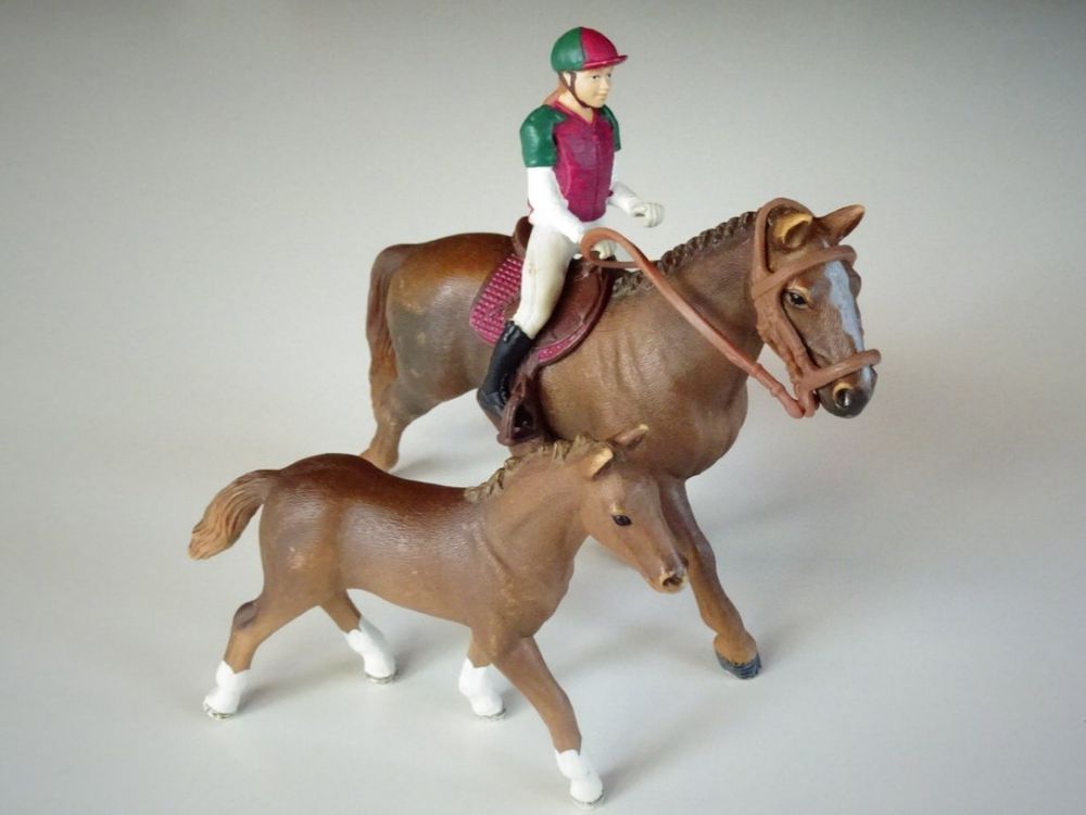 Schleich Pferd, Fohlen, Reiterin | Kaufen auf Ricardo