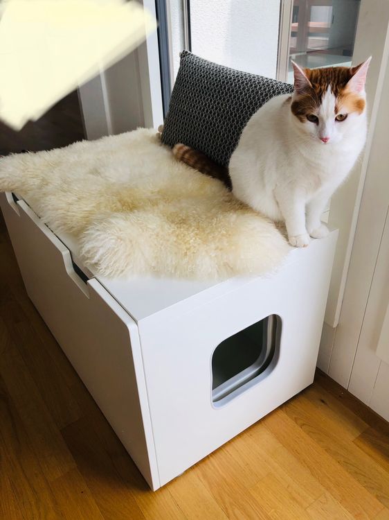 Katzentoiletten Sichtschutz 3-tlg - Spritzschutz Weiß 36x36x36cm