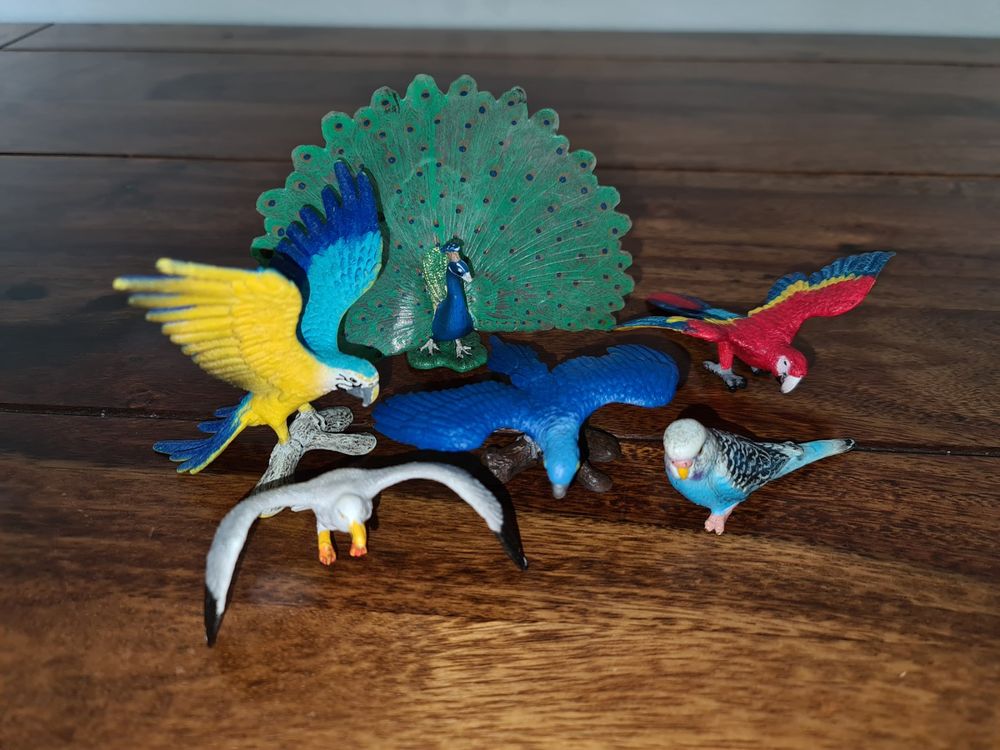Schleich Vogel Set 3x Papagei, Pfau, Wellensittich und Möve | Comprare