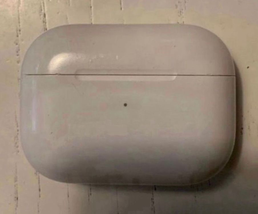 Apple AirPods Pro Ladecase Kaufen auf Ricardo
