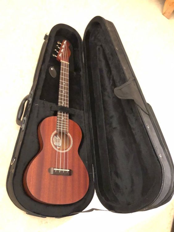 Ukulele Hau‘Oli Fender Kaufen auf Ricardo