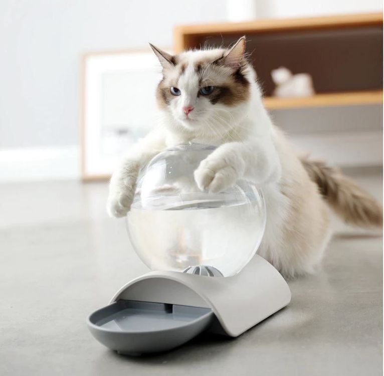 Katzenfutterspender Automatisch - Schwerkraft Futterspender Für Katzen & Hunde 29x13,5x28,5cm