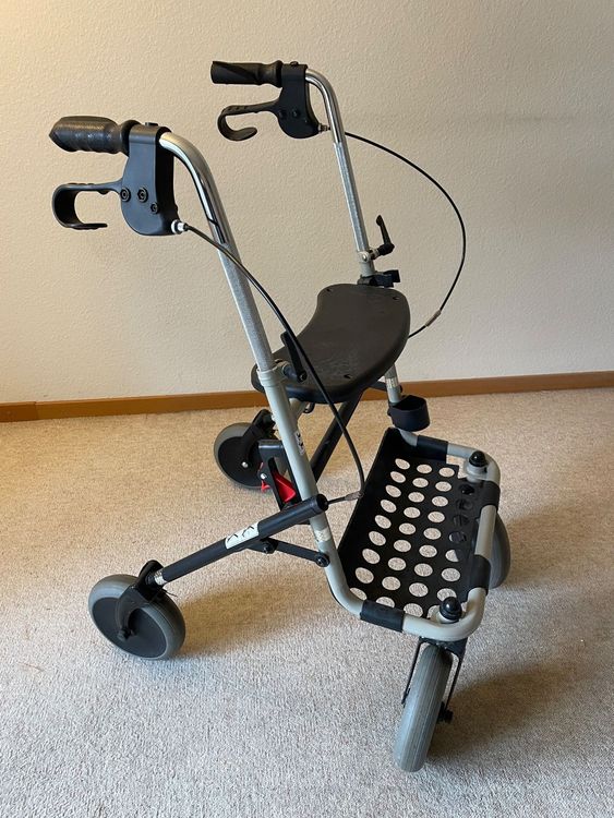 Rollator Kaufen auf Ricardo