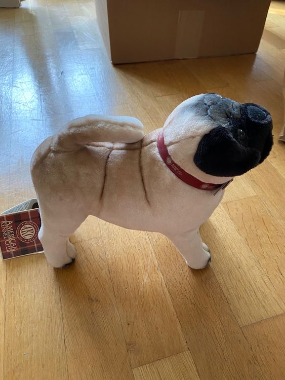 Steiff Mops Kaufen auf Ricardo