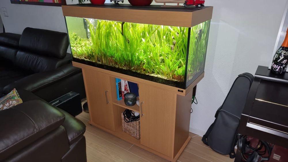 aquarium-240-liter-kaufen-auf-ricardo
