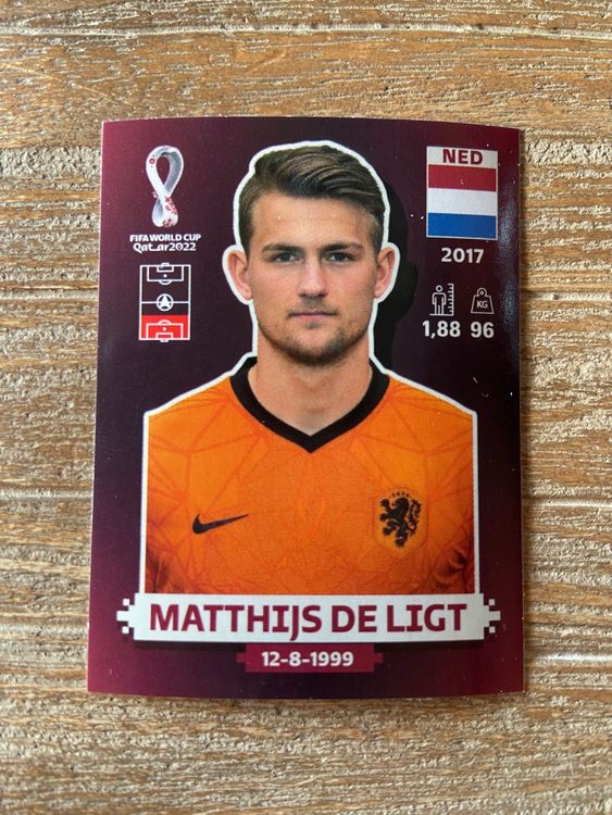 WM 2022 PANINI QATAR NED 6 Kaufen auf Ricardo