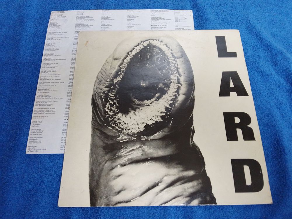 LARD the power of lard 12" +Inserts 1989 PUNK virus Kaufen auf Ricardo