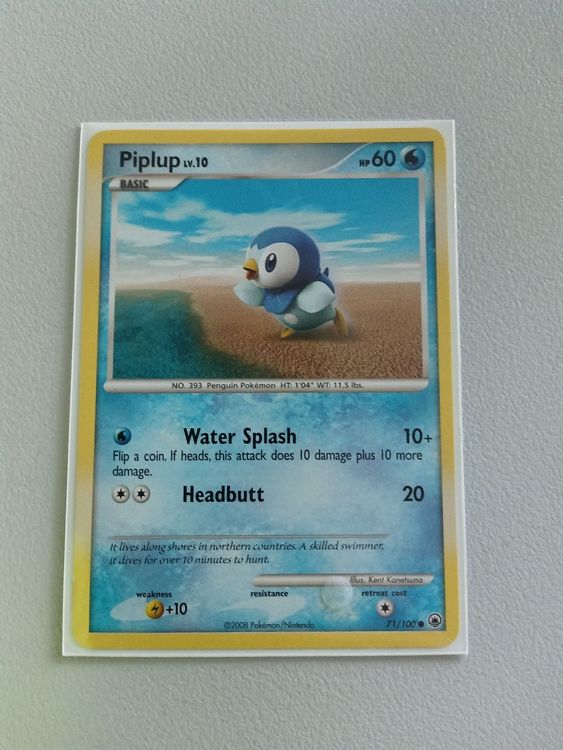 Piplup Lv. 10 1