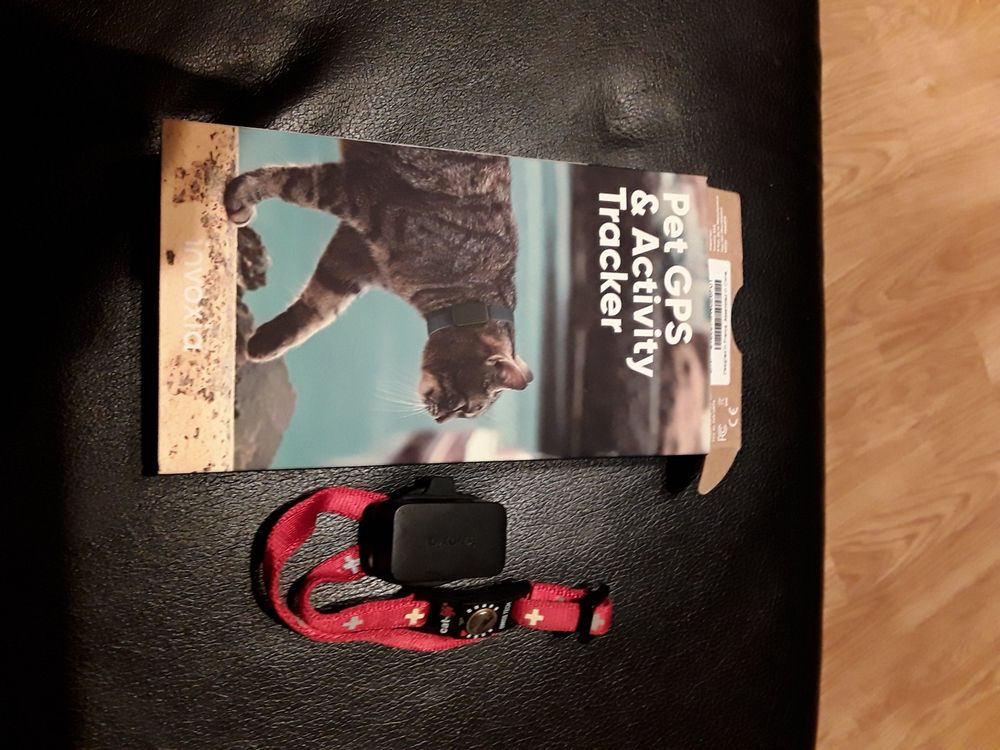 Invoxia GPS Tracker für Katze oder Hund Kaufen auf Ricardo