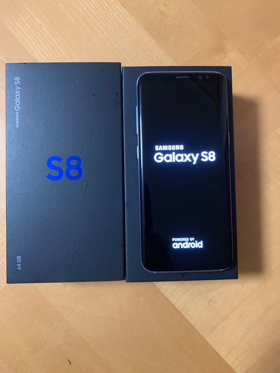 s8 coral blue