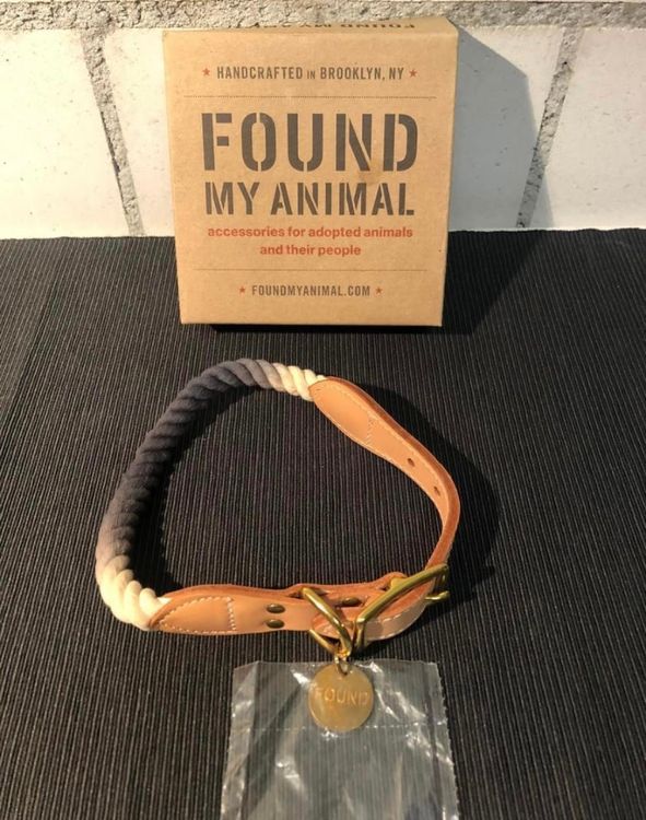 Newtensina 2er Set Hundehalsband – Bunte Diamant-Optik, Regenbogenfarben, Für Kleine Hunde