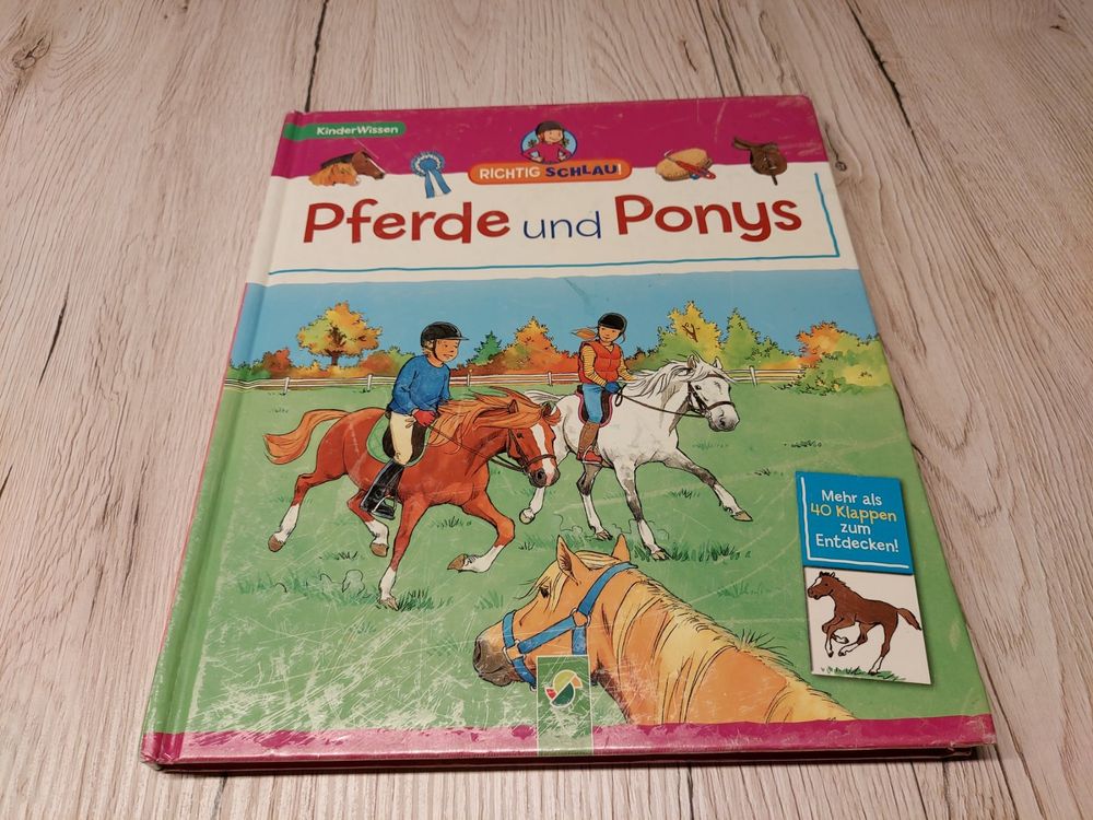 Pferde und Ponys | Kaufen auf Ricardo