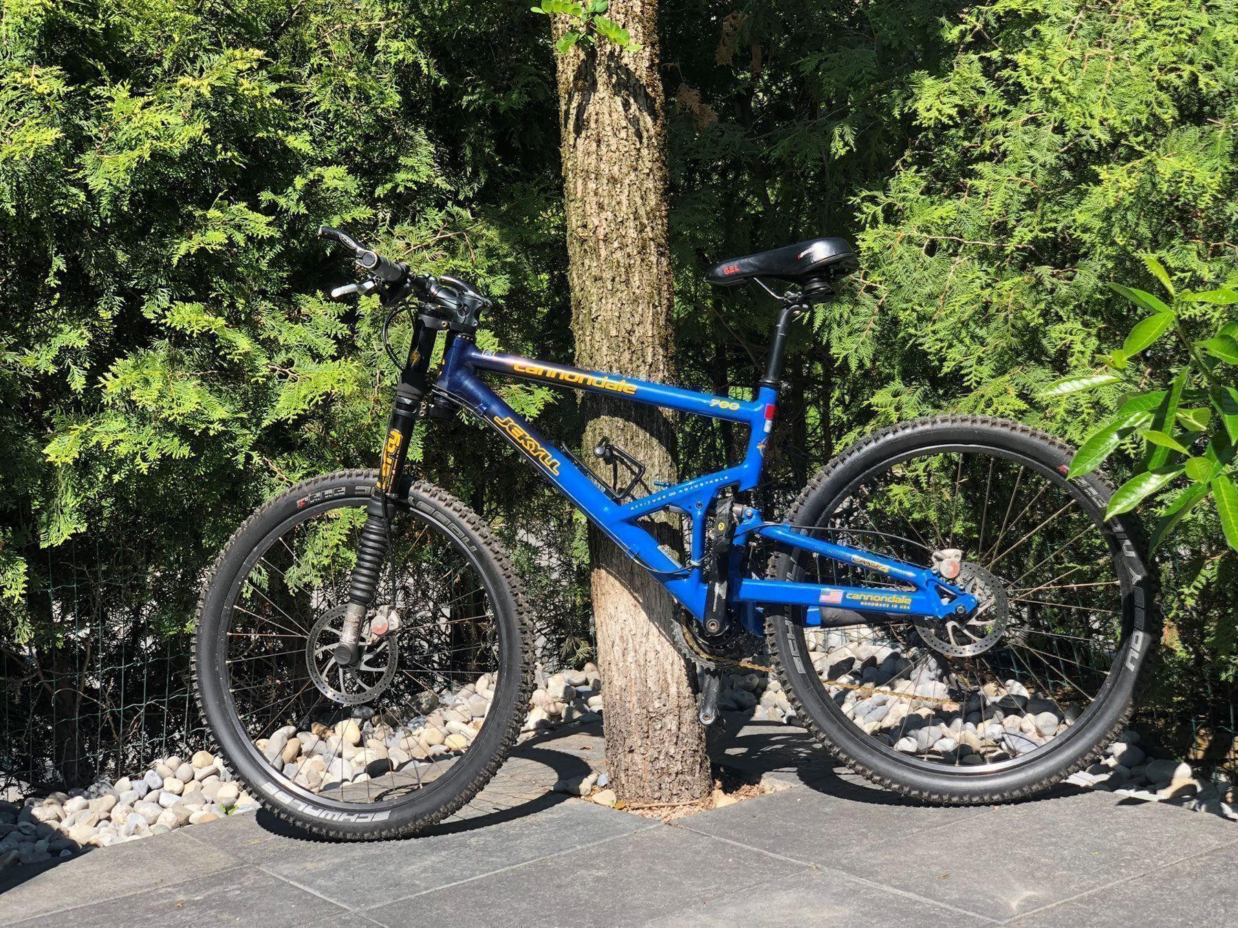 cannondale jekyll lefty