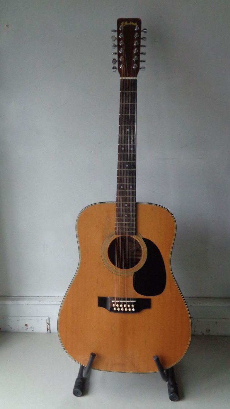 Akustische Gitarre mit 12 Saiten Kaufen auf Ricardo