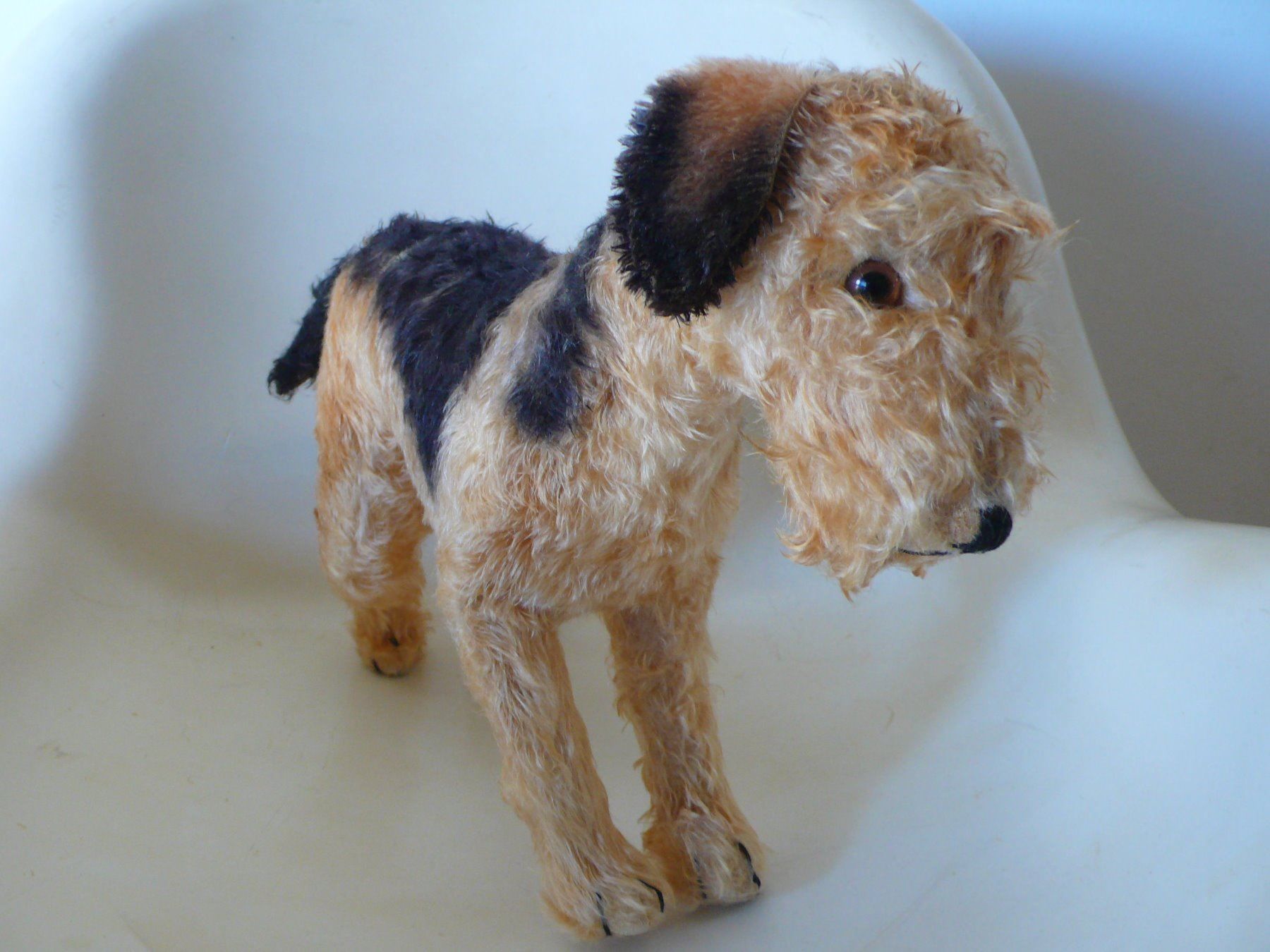Steiff Antik Hund Terrier Mohair 1950er kaufen auf Ricardo