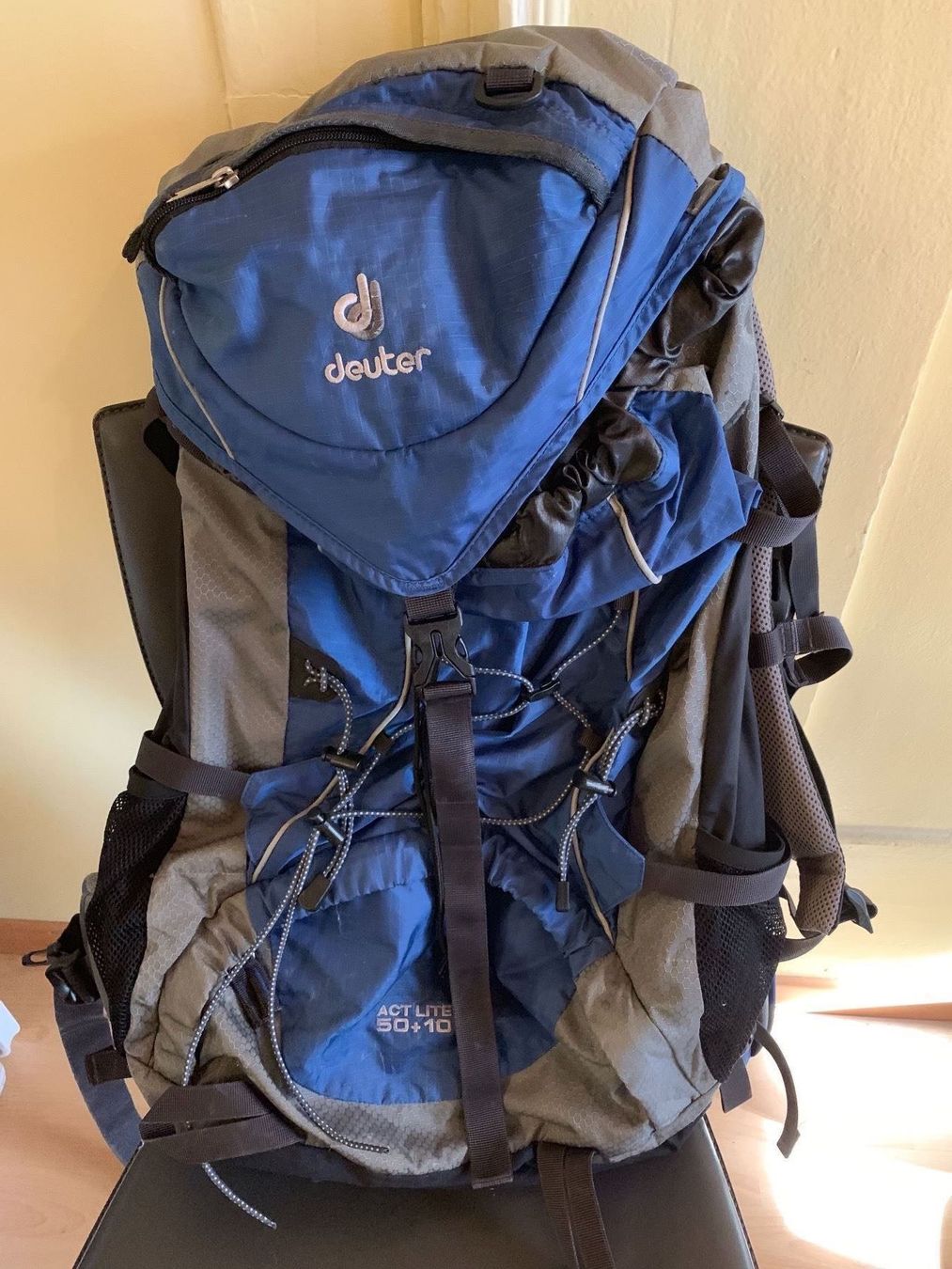 Deuter Reiserucksack Act lite 50 + 10 kaufen auf Ricardo