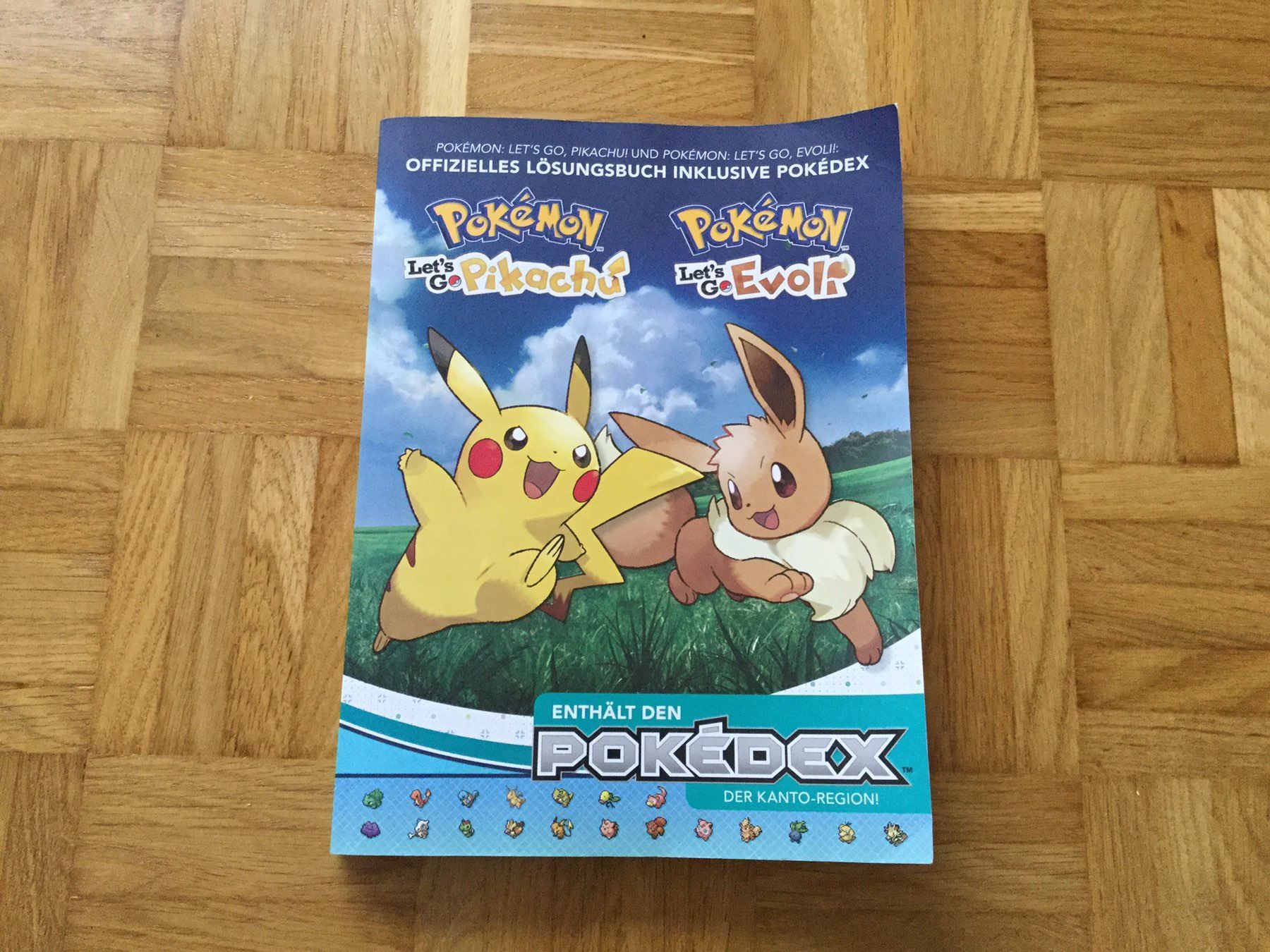Pokemon Lets Go Lösungsbuch Switch Kaufen Auf Ricardoch