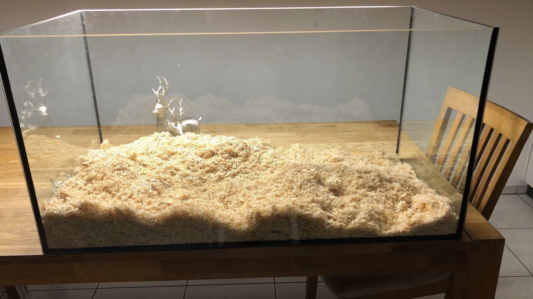 exo terra terrarium 100x50x50