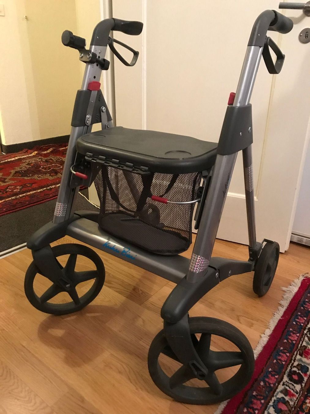 Rollator Active Walker Acces kaufen auf Ricardo