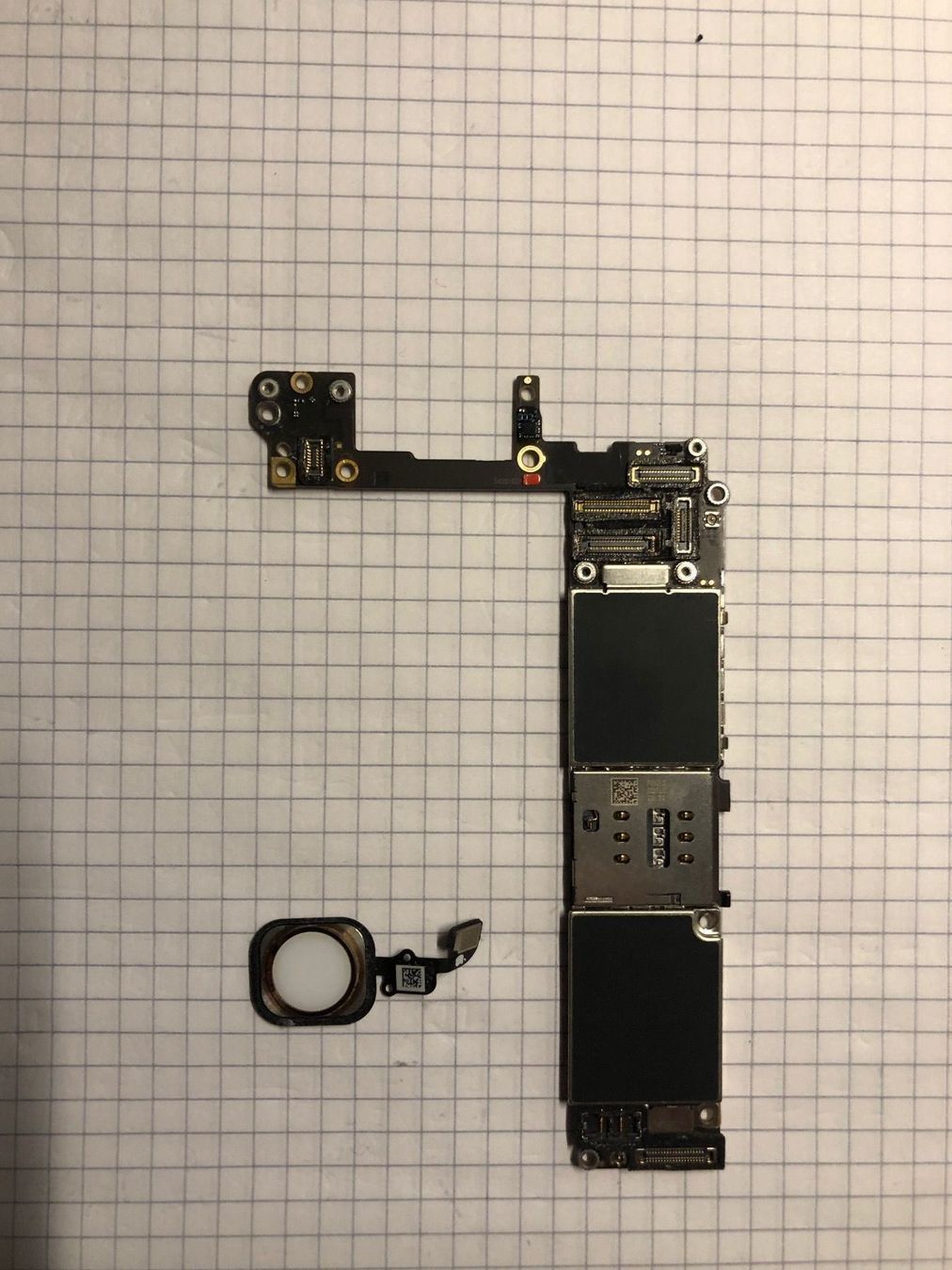 iPhone 6s Logic Board (64 GB) + Touch ID | Kaufen auf Ricardo