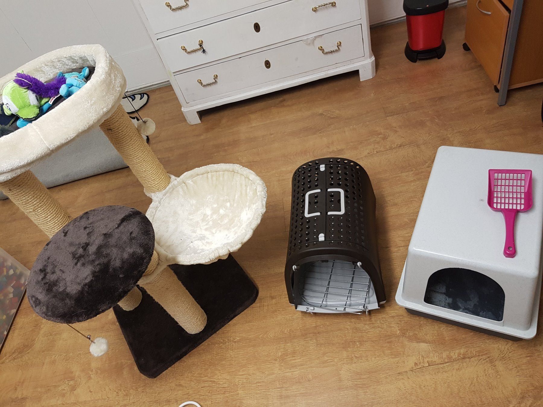 stylisches katzenzubehör