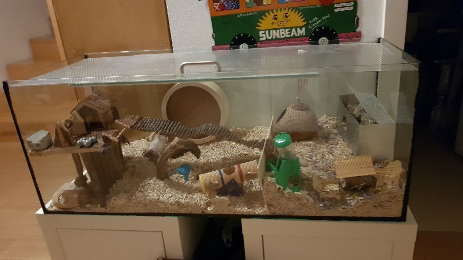 Hamster Mäuse Käfig Terrarium kaufen auf Ricardo