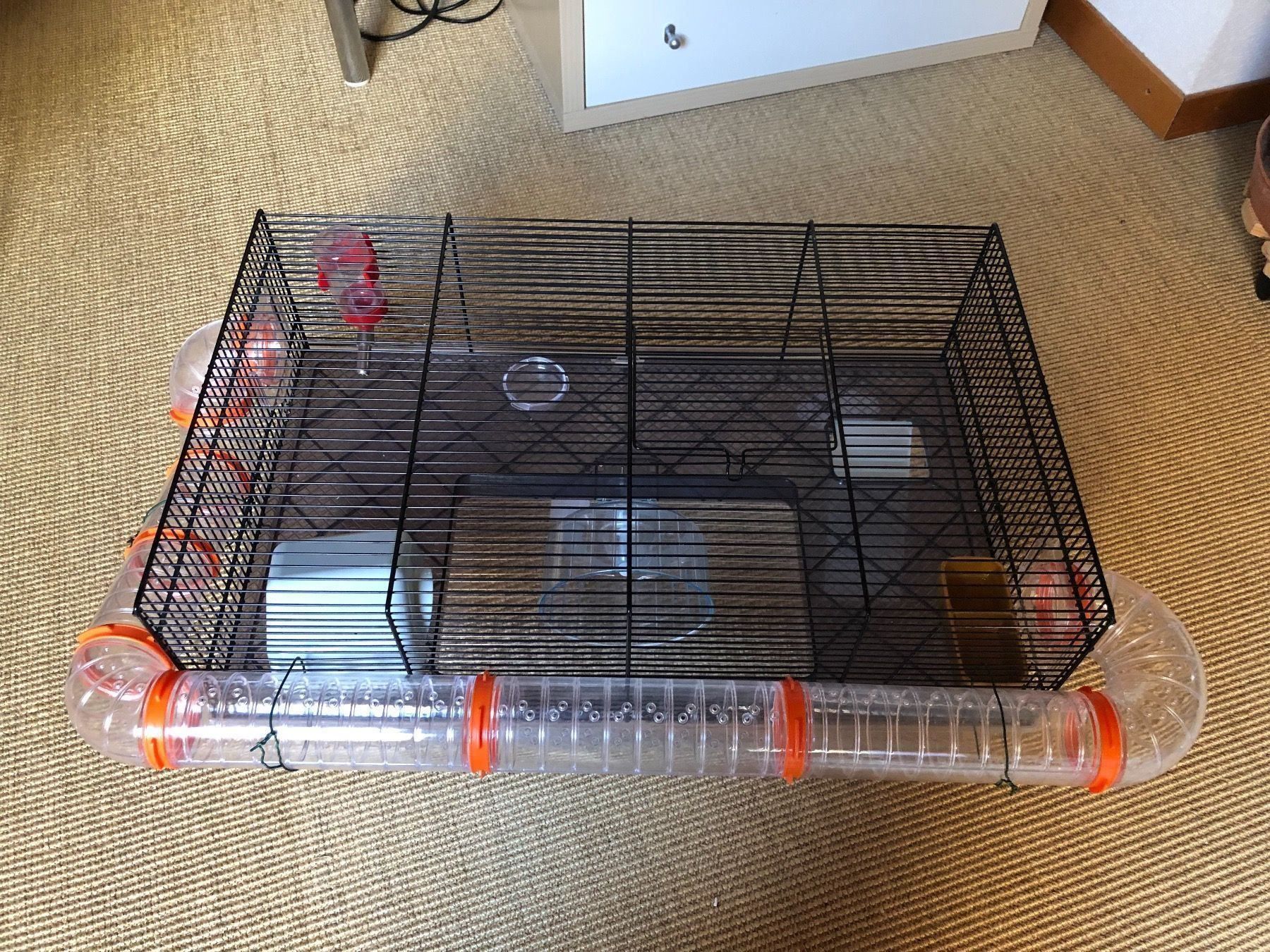 cage d'hamster nain Kaufen auf Ricardo