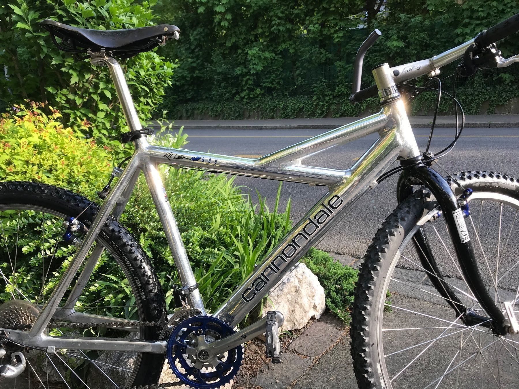 cannondale v2000