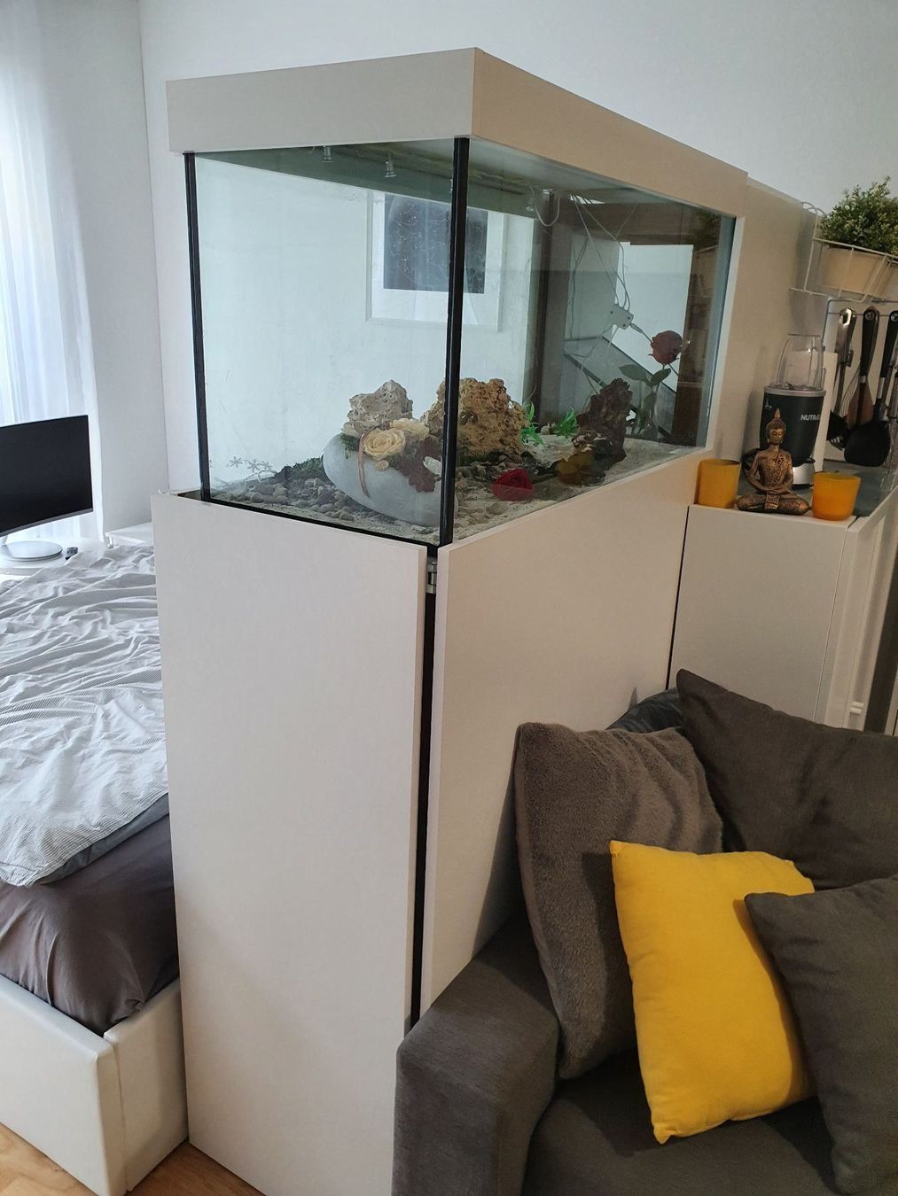 Aquarium Trennwand Eigenbau kaufen auf Ricardo