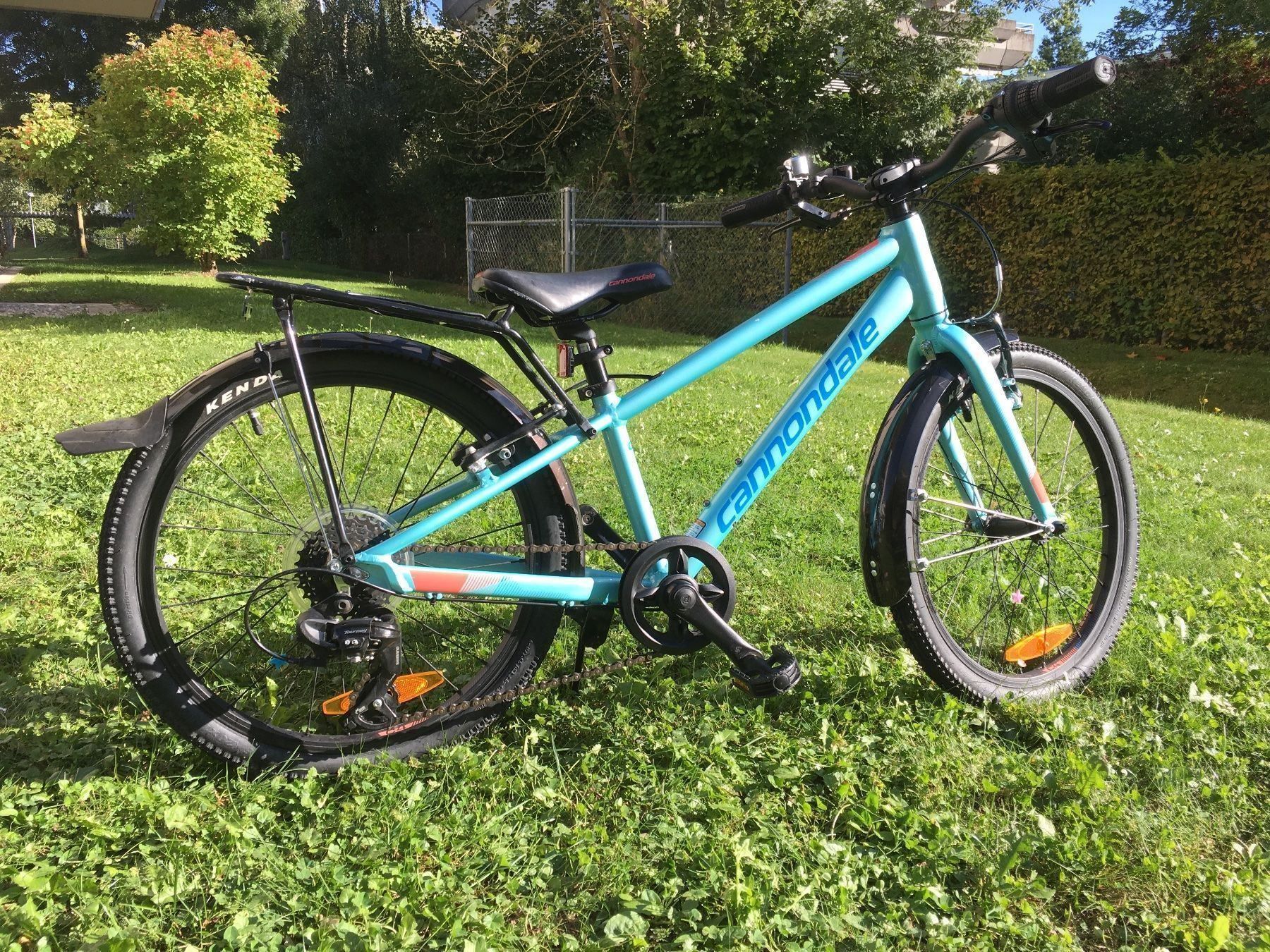 Cannondale Kinder Mountainbike 20 Zoll Kaufen auf Ricardo