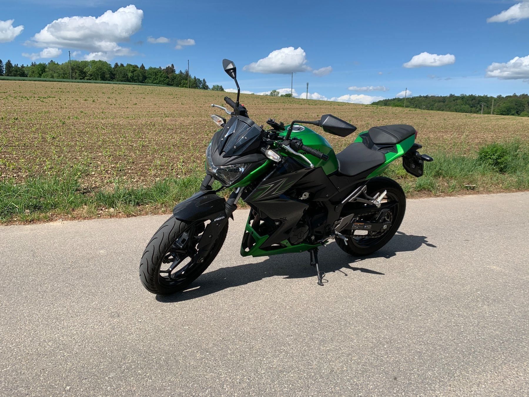 Kawasaki Z 300 ABS Kaufen Auf Ricardo