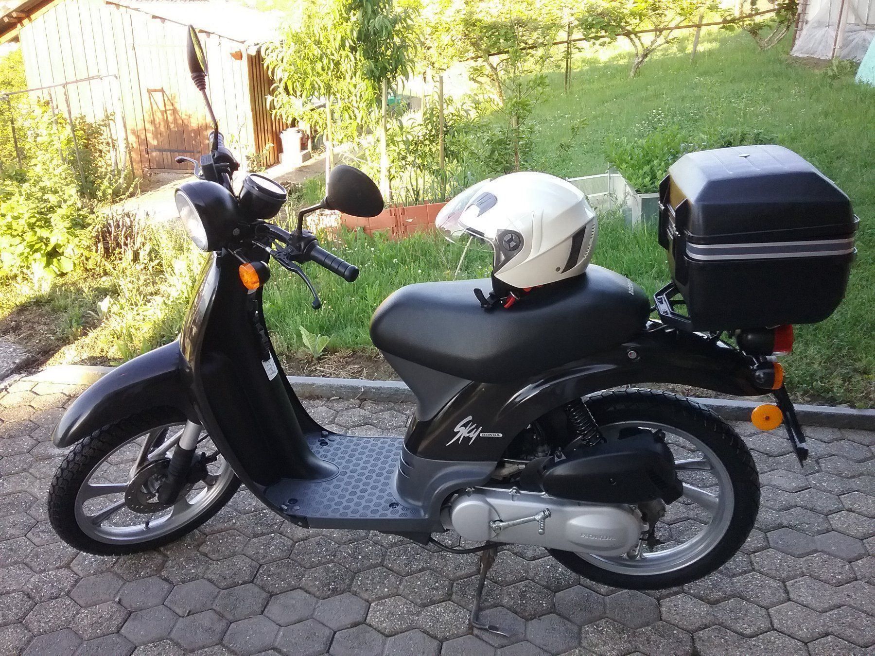 Honda  SGX  50  kaufen auf Ricardo  Honda  SGX  50  kaufen auf Ricardo