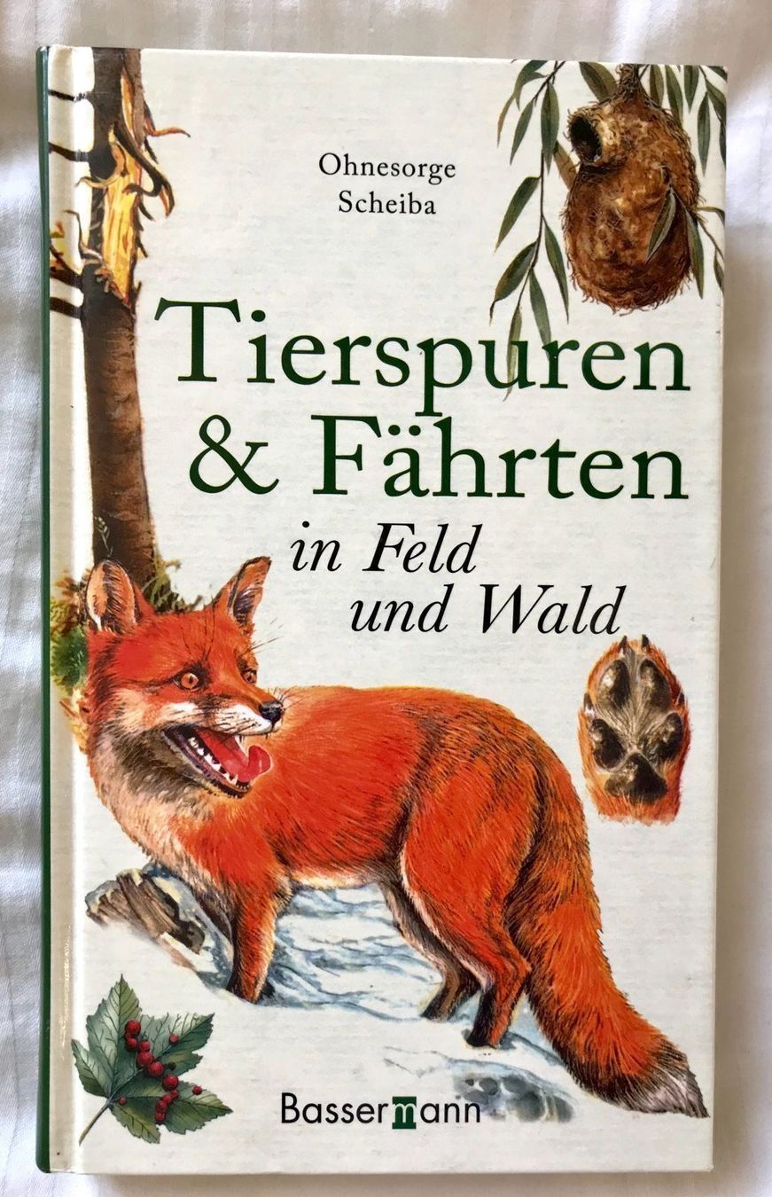 Featured image of post Tierspuren Gratis : Tierspuren 2 hase katze fuchs eichhorn.