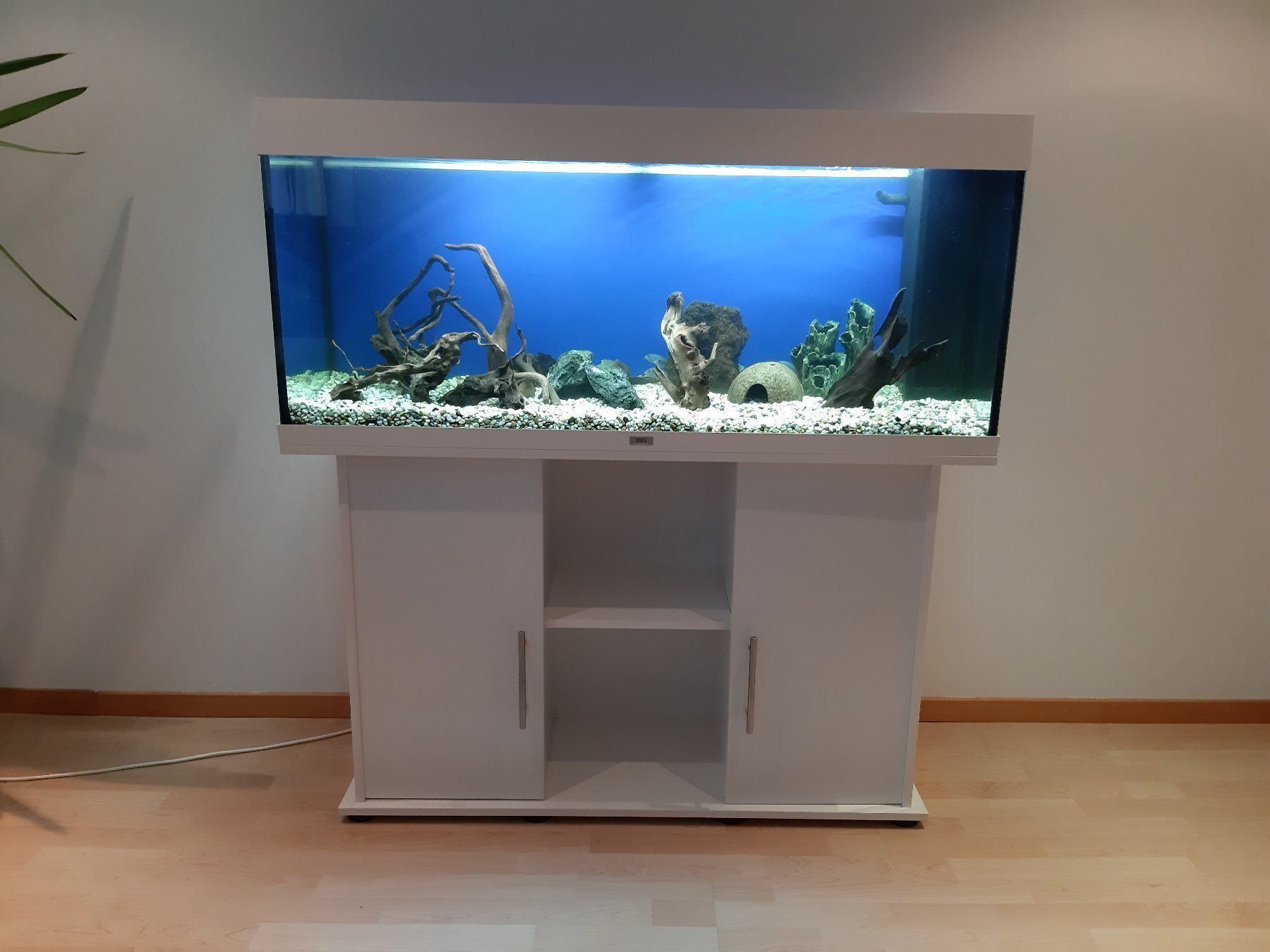 Aquarium Juwel Rio 240 Liter weiss | Kaufen auf Ricardo
